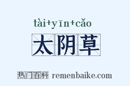 太阴草是什么意思的图片